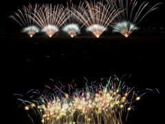 -南宁花花大世界景区