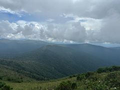 -凤凰山国家森林公园