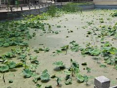 -保定市动物园