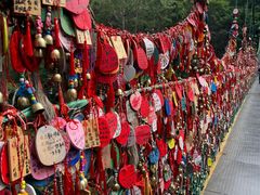 -西双版纳原始森林公园