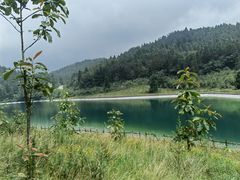 -武陵山森林公园