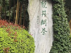 -十八棵（老龙井）御茶园(老龙井店)