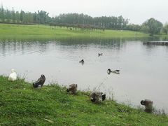 -两河城市森林公园
