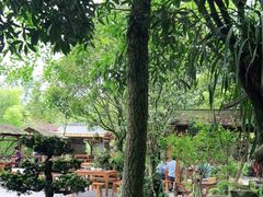 -青城甲(青城山店)