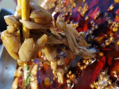 -味之绝热血美蛙鱼火锅(中坝店)