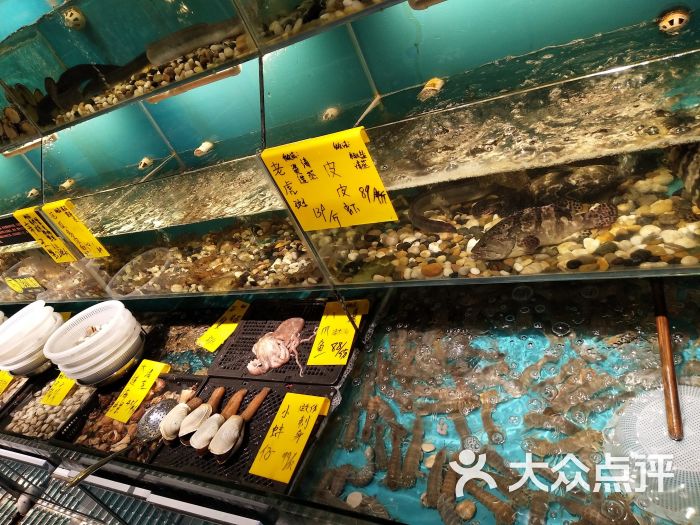 七号码头蒸汽海鲜图片 - 第2张