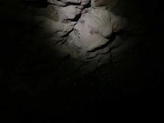 -怀托摩萤火虫洞