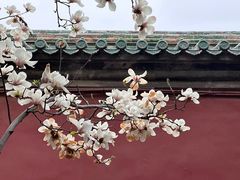 -天坛公园