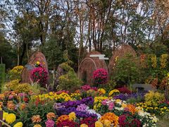 -上海共青森林公园