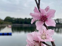 -国际非物质文化遗产博览园