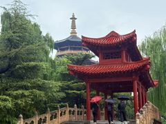 -百脉泉景区