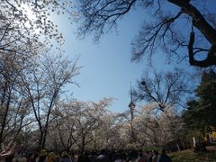 -红山红餐厅(宏源大厦店)