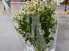 -雪蔓之鲜花气球派对(家佳源时代中心店)