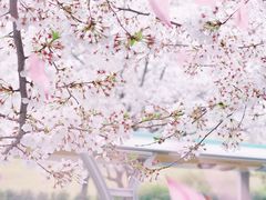 -上海辰山植物园