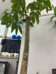 -瓷肌博士·祛痘科技美肤