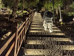 -五女山景区