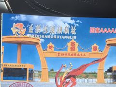 -金塔沙漠胡杨林景区