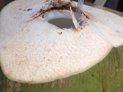 -椰夫人·养生椰子鸡(金沙洲永旺店)