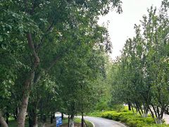 -元大都城垣遗址公园