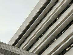 -香港大学