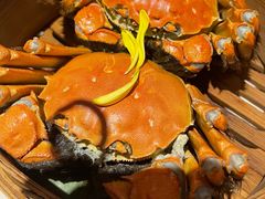 -蟹榭(静安寺晶品商场店)