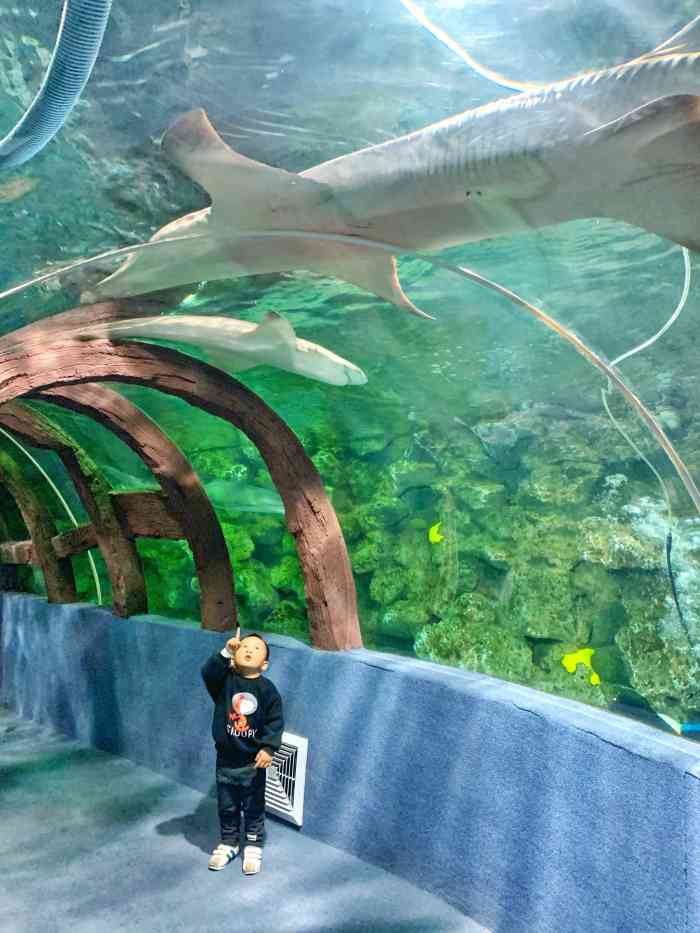 杭州海底世界