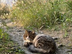 -北京西山国家森林公园