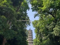 -灵谷景区