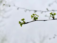 -沙澧河风景区