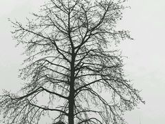 -怡海公园(桂城街道)