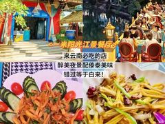 -西双版纳原始森林公园