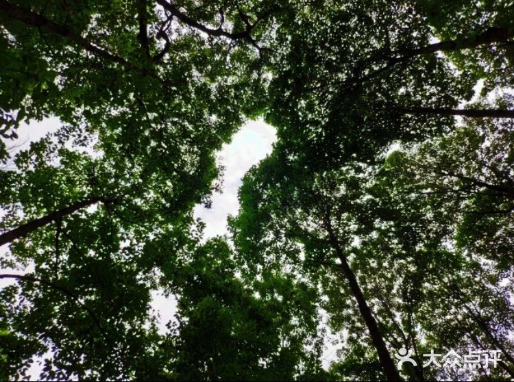 此情此景，生活在市中心的人们，不由感叹良多