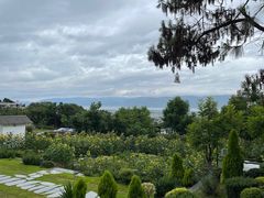 -云禾壹海景庄园餐厅