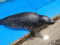 -泉城欧乐堡海洋极地世界