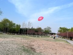 -西安浐灞国家湿地公园