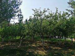 -回龙观体育文化公园