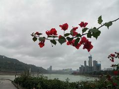 -中国宜宾·长江地标广场