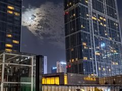 -成都尼依格罗酒店