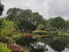 -晓港公园