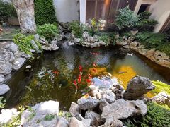 -鲤院·新中式美学·庭院餐厅(夫子庙店)