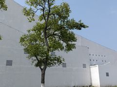 -平望服务区·停车场