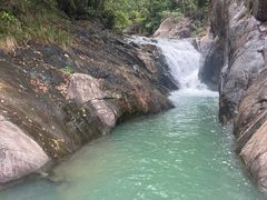 -广州白江湖森林公园