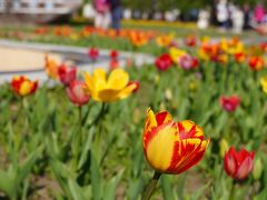 -长春公园(普阳街道)