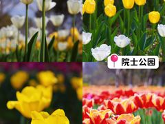 -宁波五龙潭景区