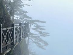 -萍乡武功山风景名胜区