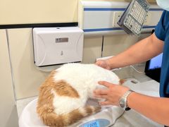 -萌兽医馆·犬猫专科·眼科中心·宠物医院(朝阳门分院)