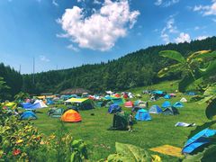 -武陵山森林公园