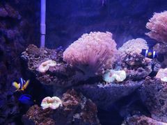 -石林冰雪海洋世界