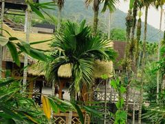 -海南槟榔谷黎苗文化旅游区