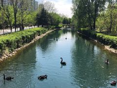 -长白岛森林公园